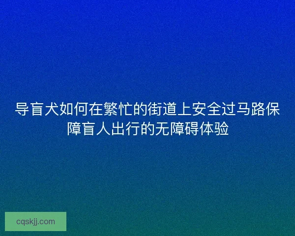 导盲犬如何在繁忙的街道上安全过马路保障盲人出行的无障碍体验
