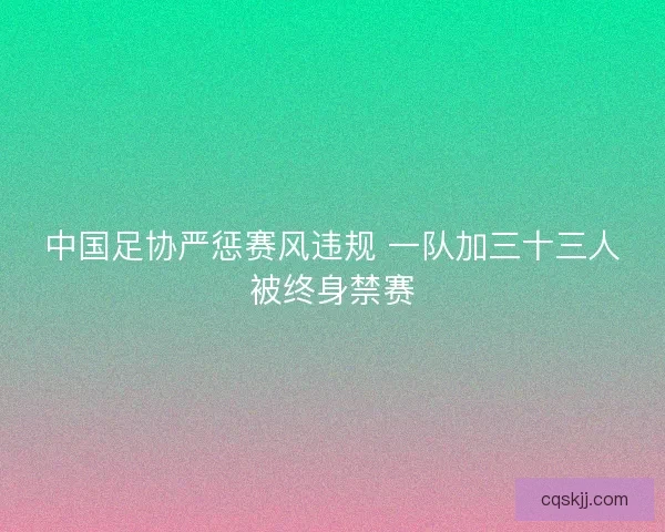 中国足协严惩赛风违规 一队加三十三人被终身禁赛